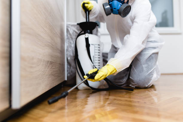 Best Bed Bug Extermination  in Rion Center, MA