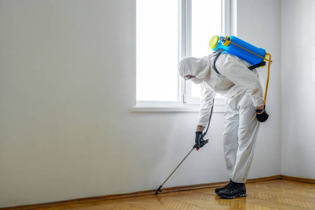 Best Best Pest Control Companies  in Rion Center, MA
